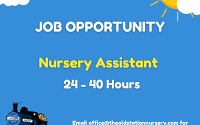 Job Opportunity: Nursery Assistant